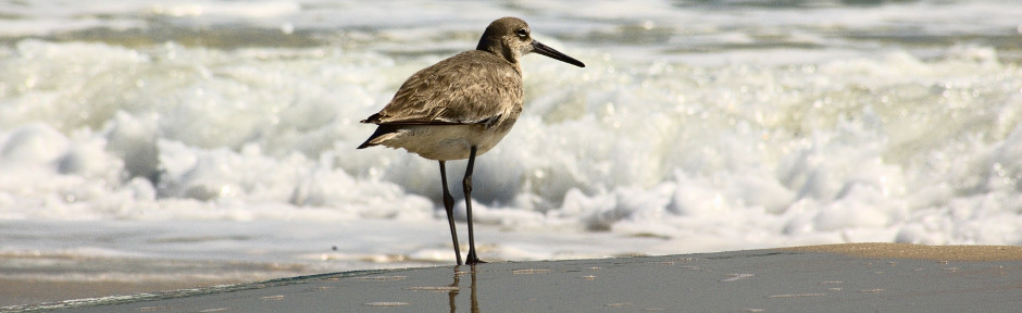 we are waiting for your call