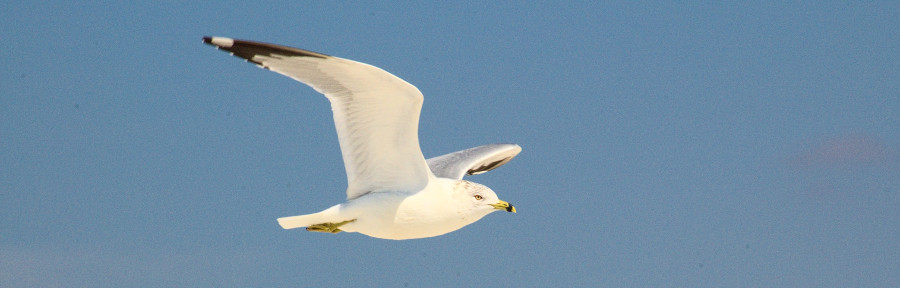 Dont miss out on these memories