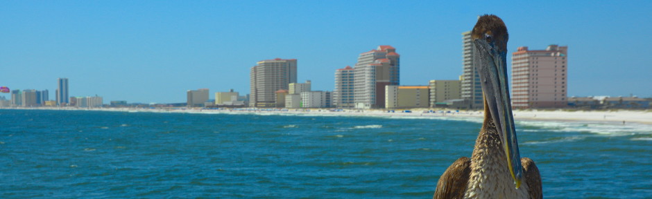 let us put one of our fabulous motorized beach wheelchairs on hold for you