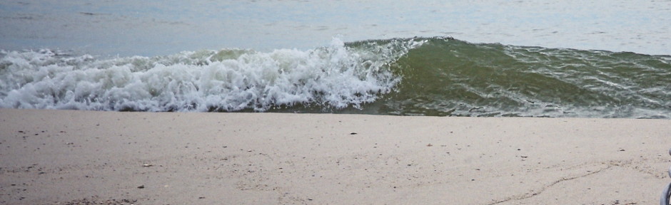 jerry nasello, the man who's dream is your happiness